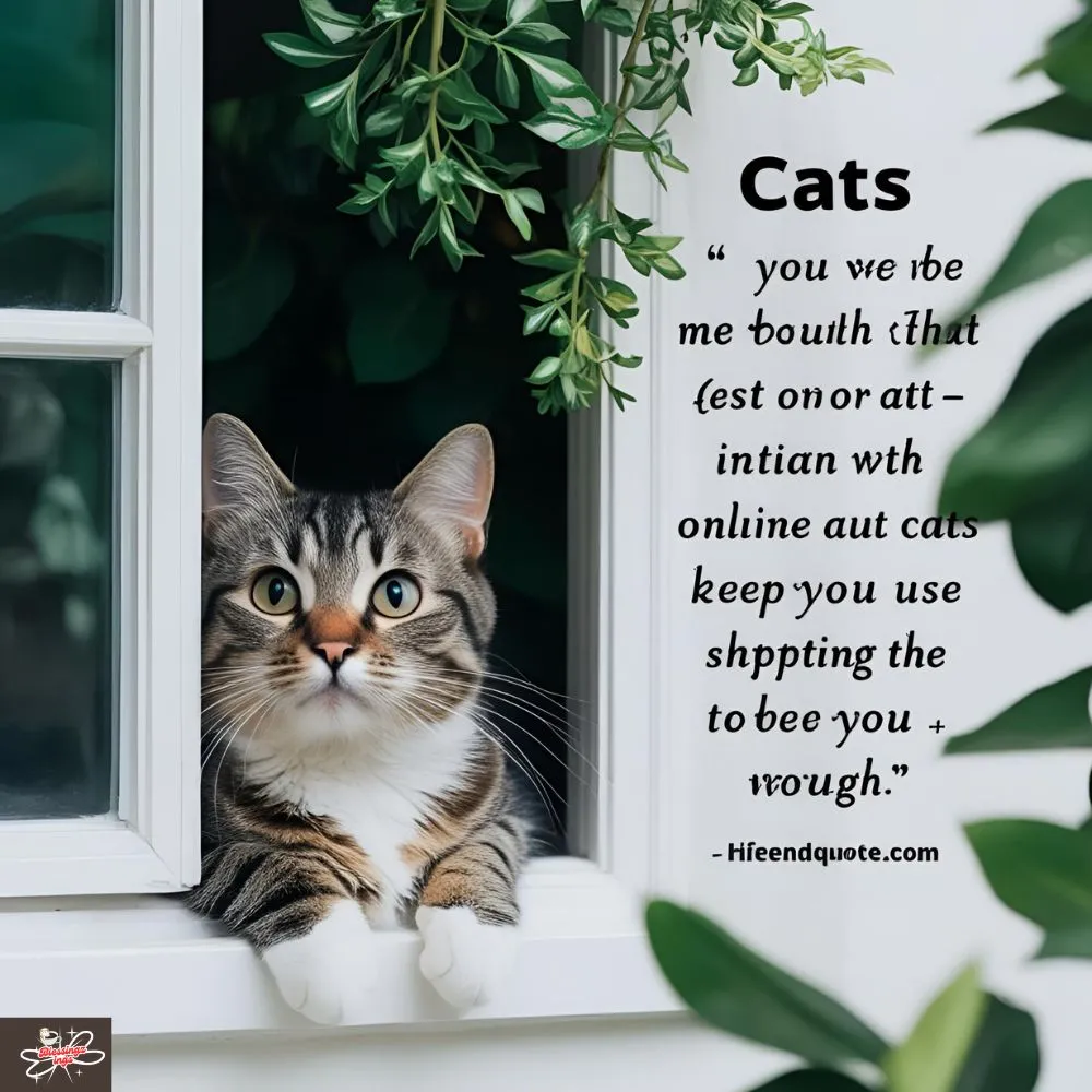 Cat Quotes For Instagram