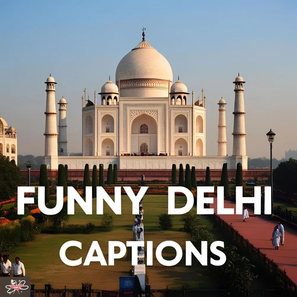 Funny Delhi Captions