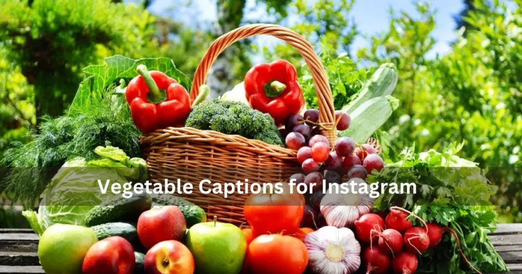 Vegetable Captions For Instagram