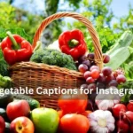 Vegetable Captions For Instagram